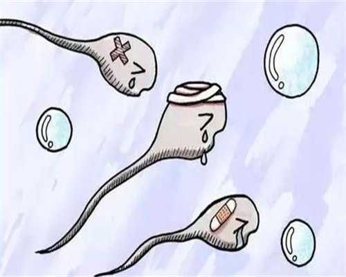 南昌阴道畸形不孕借卵代怀试管助孕方案示意图